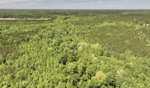 Photo #9 of Off Briston Brown Road, Littleton, NC 18.8 acres