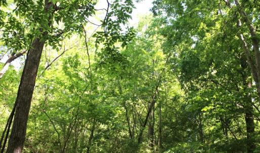 Photo #23 of Off Sims Bridge Road, Kittrell, NC 1.4 acres