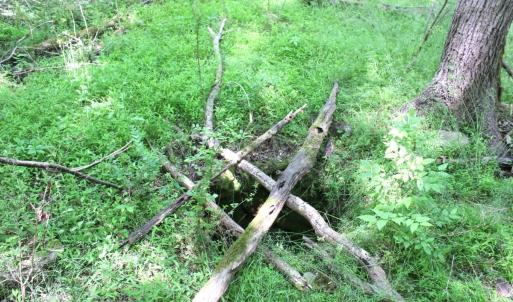Photo #26 of Off Sims Bridge Road, Kittrell, NC 1.4 acres