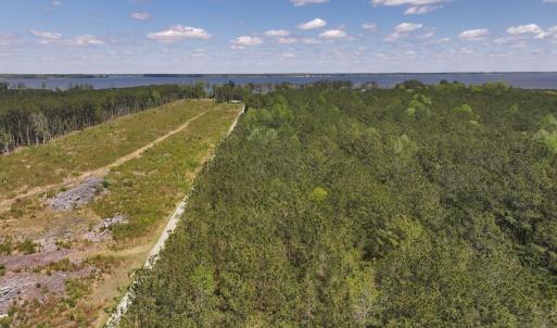 Photo #14 of Off Holly Oak Drive, Blounts Creek, NC 3.7 acres