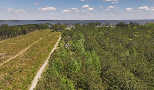 Photo #15 of Off Holly Oak Drive, Blounts Creek, NC 3.7 acres