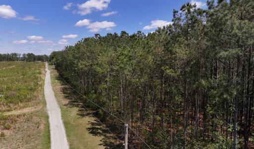 Photo #16 of Off Holly Oak Drive, Blounts Creek, NC 3.7 acres