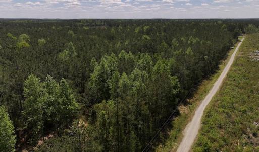 Photo #17 of Off Holly Oak Drive, Blounts Creek, NC 3.7 acres