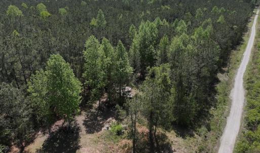 Photo #19 of Off Holly Oak Drive, Blounts Creek, NC 3.7 acres