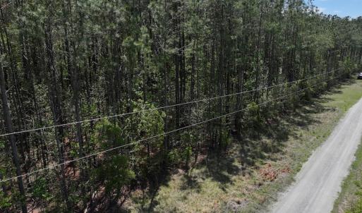 Photo #21 of Off Holly Oak Drive, Blounts Creek, NC 3.7 acres