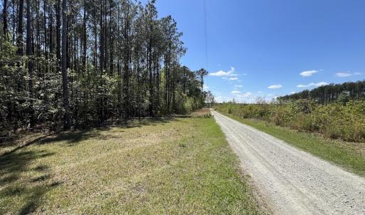 Photo #25 of Off Holly Oak Drive, Blounts Creek, NC 3.7 acres
