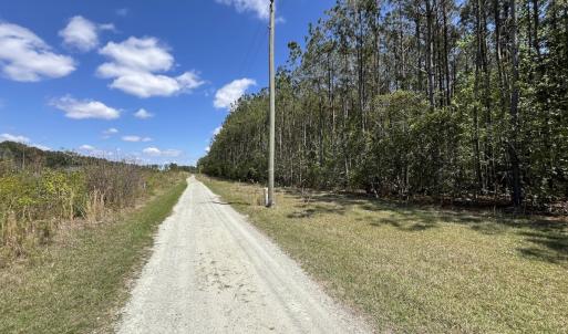 Photo #26 of Off Holly Oak Drive, Blounts Creek, NC 3.7 acres