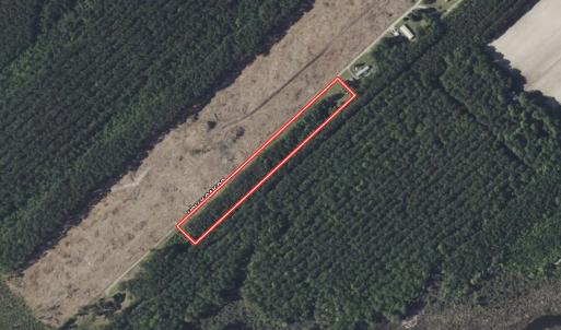 Photo #31 of Off Holly Oak Drive, Blounts Creek, NC 3.7 acres