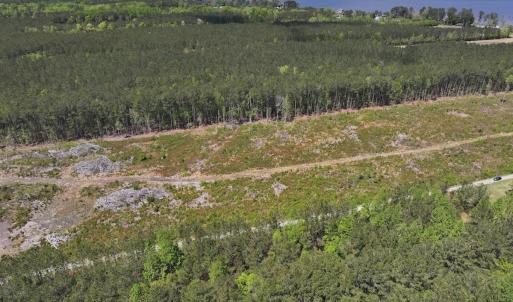 Photo #6 of Off Holly Oak Drive, Blounts Creek, NC 3.7 acres