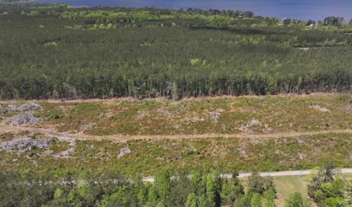Photo #7 of Off Holly Oak Drive, Blounts Creek, NC 3.7 acres
