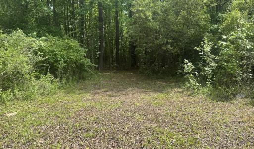 Photo #14 of 2692 Pleasant Hope Rd, Fairmont, NC 5.0 acres