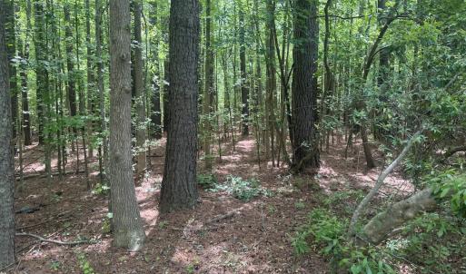 Photo #15 of 2692 Pleasant Hope Rd, Fairmont, NC 5.0 acres