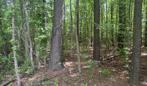 Photo #16 of 2692 Pleasant Hope Rd, Fairmont, NC 5.0 acres
