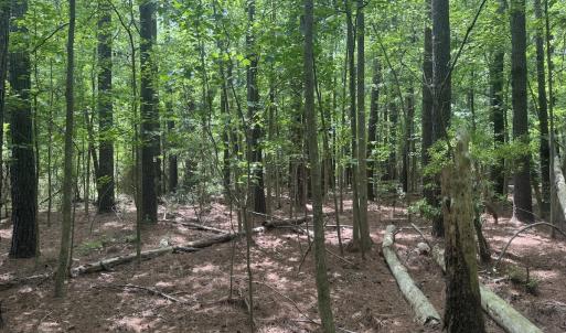 Photo #17 of 2692 Pleasant Hope Rd, Fairmont, NC 5.0 acres