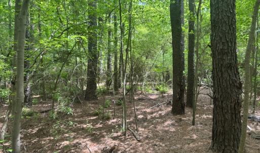 Photo #19 of 2692 Pleasant Hope Rd, Fairmont, NC 5.0 acres