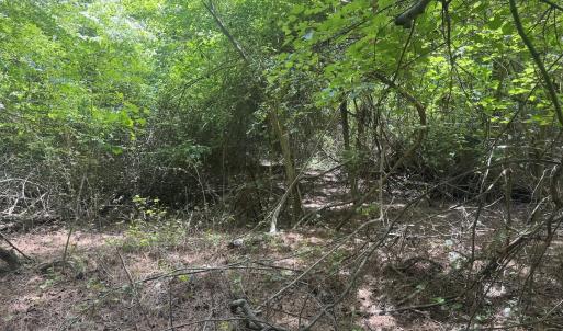 Photo #21 of 2692 Pleasant Hope Rd, Fairmont, NC 5.0 acres