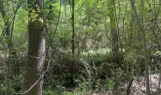 Photo #22 of 2692 Pleasant Hope Rd, Fairmont, NC 5.0 acres