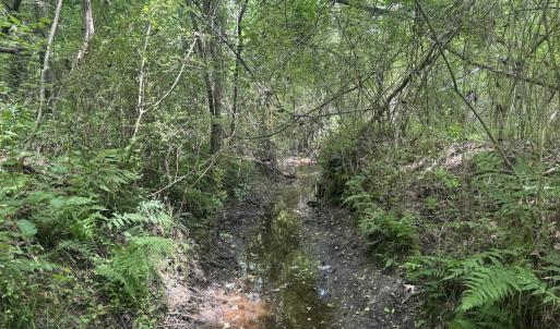Photo #23 of 2692 Pleasant Hope Rd, Fairmont, NC 5.0 acres