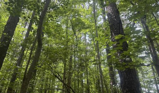 Photo #24 of 2692 Pleasant Hope Rd, Fairmont, NC 5.0 acres
