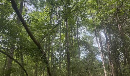 Photo #25 of 2692 Pleasant Hope Rd, Fairmont, NC 5.0 acres