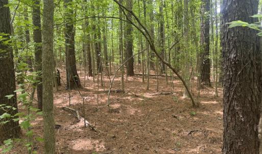 Photo #26 of 2692 Pleasant Hope Rd, Fairmont, NC 5.0 acres