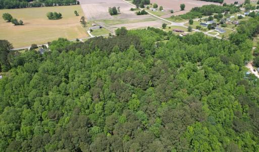 Photo #5 of 2692 Pleasant Hope Rd, Fairmont, NC 5.0 acres