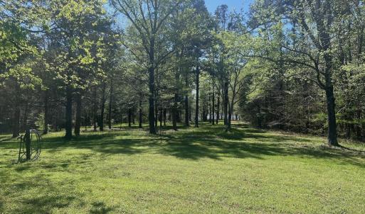 Photo #18 of 900 Buffalo Creek Rd, Buffalo Junction, VA 29.0 acres