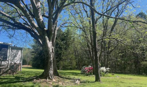 Photo #20 of 900 Buffalo Creek Rd, Buffalo Junction, VA 29.0 acres