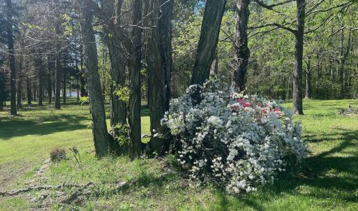Photo #23 of 900 Buffalo Creek Rd, Buffalo Junction, VA 29.0 acres