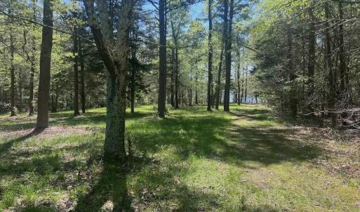 Photo #24 of 900 Buffalo Creek Rd, Buffalo Junction, VA 29.0 acres
