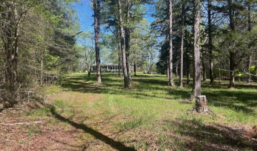 Photo #25 of 900 Buffalo Creek Rd, Buffalo Junction, VA 29.0 acres