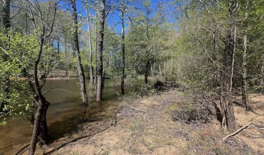 Photo #28 of 900 Buffalo Creek Rd, Buffalo Junction, VA 29.0 acres