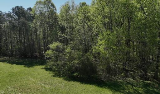 Photo #89 of 900 Buffalo Creek Rd, Buffalo Junction, VA 29.0 acres