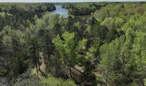 Photo #92 of 900 Buffalo Creek Rd, Buffalo Junction, VA 29.0 acres