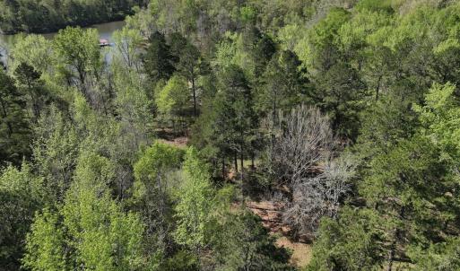 Photo #101 of 900 Buffalo Creek Rd, Buffalo Junction, VA 29.0 acres