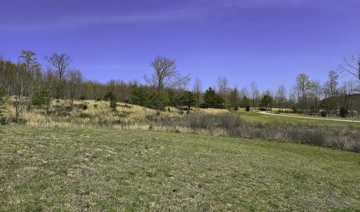 Photo #54 of 1504 Hutchison Rd. New Castle, VA, New Castle , VA 89.0 acres