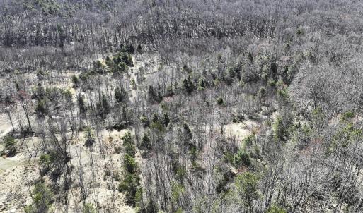 Photo #60 of 1504 Hutchison Rd. New Castle, VA, New Castle , VA 89.0 acres