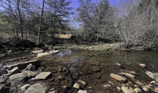 Photo #62 of 1504 Hutchison Rd. New Castle, VA, New Castle , VA 89.0 acres