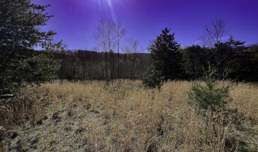 Photo #64 of 1504 Hutchison Rd. New Castle, VA, New Castle , VA 89.0 acres