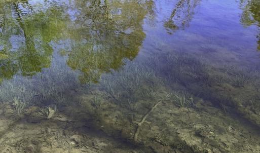 Photo #68 of 1504 Hutchison Rd. New Castle, VA, New Castle , VA 89.0 acres