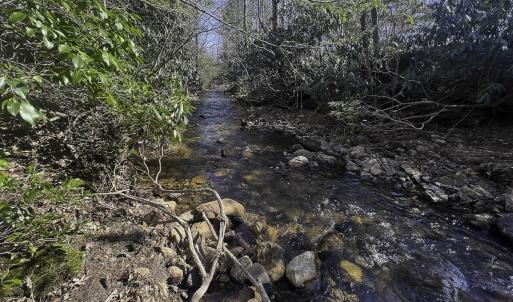 Photo #74 of 1504 Hutchison Rd. New Castle, VA, New Castle , VA 89.0 acres