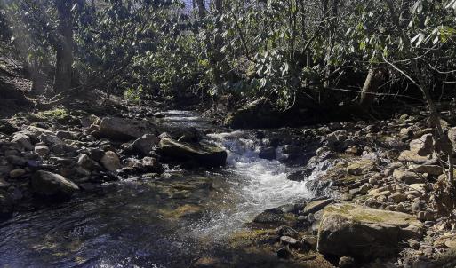 Photo #75 of 1504 Hutchison Rd. New Castle, VA, New Castle , VA 89.0 acres