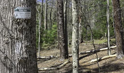 Photo #81 of 1504 Hutchison Rd. New Castle, VA, New Castle , VA 89.0 acres