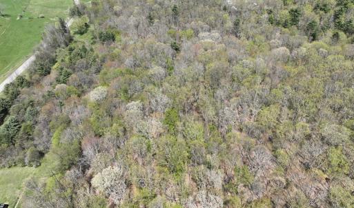 Photo #3 of 1120 Sam Snead Highway, Hot Springs, VA 23.6 acres