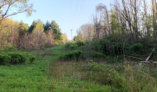 Photo #15 of 1120 Sam Snead Highway, Hot Springs, VA 23.6 acres