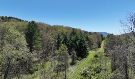 Photo #16 of 1120 Sam Snead Highway, Hot Springs, VA 23.6 acres