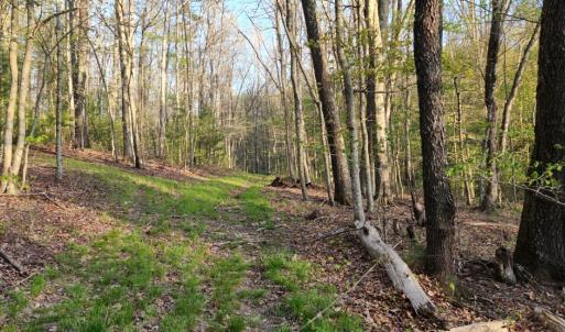 Photo #17 of 1120 Sam Snead Highway, Hot Springs, VA 23.6 acres