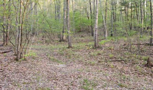 Photo #19 of 1120 Sam Snead Highway, Hot Springs, VA 23.6 acres