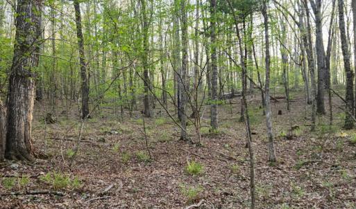 Photo #21 of 1120 Sam Snead Highway, Hot Springs, VA 23.6 acres