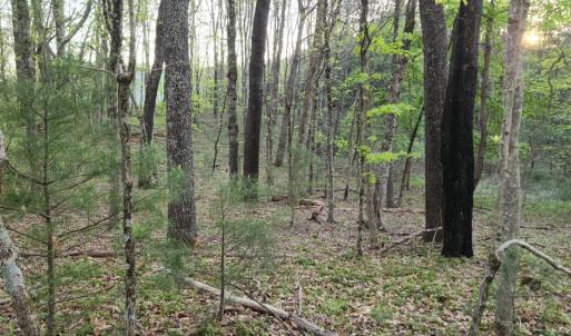 Photo #23 of 1120 Sam Snead Highway, Hot Springs, VA 23.6 acres